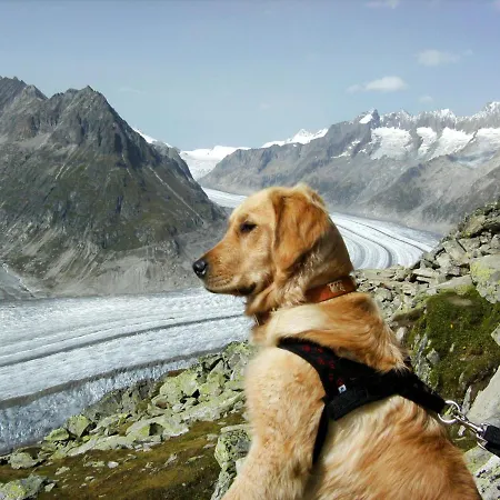 Aragon B48 By Interhome Daire