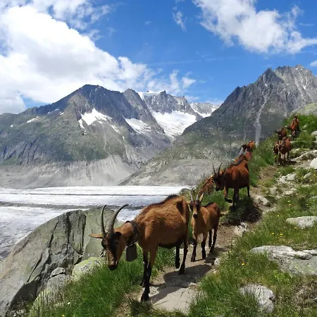 Aragon B48 By Interhome Ernen