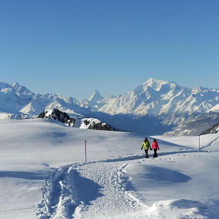 Aragon B48 By Interhome 公寓 Ernen